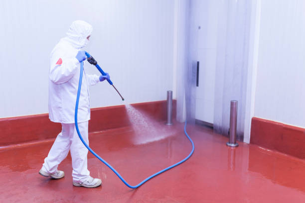 Professional Pressure Washing Services in Haledon, NJ